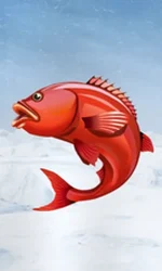 Ice Fishing