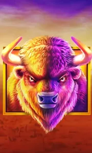 Buffalo King