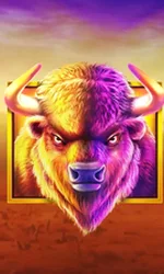 Buffalo King